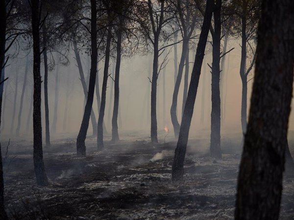 Continúan las labores de refresco y control del incendio de Carcastillo (Navarra), que está estabilizado