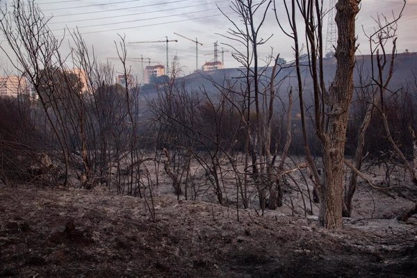AEMET avisa de posibles tormentas secas en próximos días, que hacen que el fuego se origine y se propague en poco tiempo