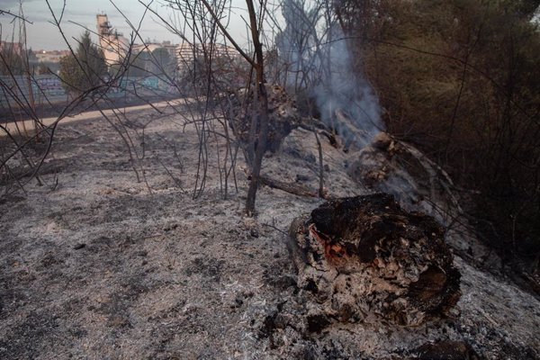 El fallecido en el incendio de Tres Cantos (Madrid) era un trabajador de una hípica de Soto de Viñuelas