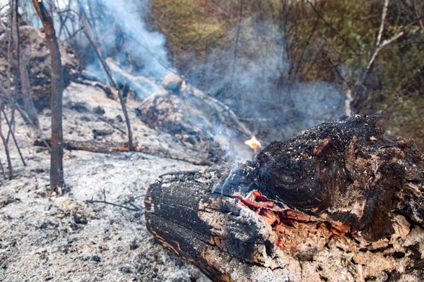 Los desalojados por el incendio de Tres Cantos (Madrid) comienzan a regresar a sus viviendas
