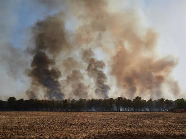 El incendio forestal de Carcastillo (Navarra) afecta a una superficie de 220 hectáreas