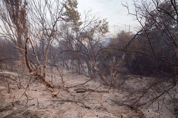Incendio en Tres Cantos (Madrid) está en fase de control pero preocupan las condiciones meteorológicas de la tarde