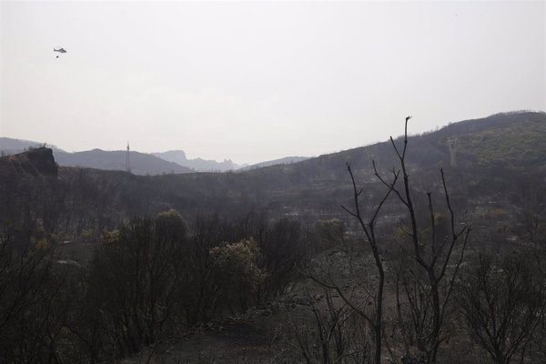 CyL prolonga la alerta de riesgo de incendios forestales desde este miércoles hasta el 18 de agosto en toda la región
