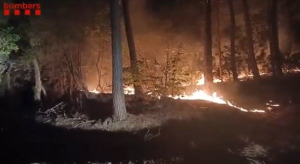 Estabilizado de madrugada el incendio forestal entre Amer y Susqueda (Girona)