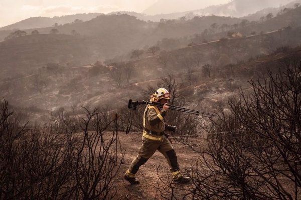 Asociación Forestal Andaluza apunta al abandono rural y al sistema de prevención como posibles causas de los incendios