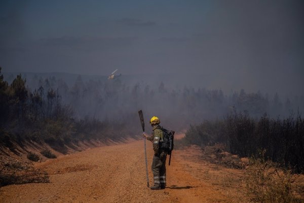 Greenpeace defiende que con 1.000 millones al año en prevención de incendios podrían ahorrarse 99.000 en extinción