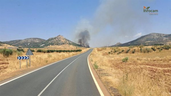 Fuego en Aldea del Rey(Ciudad Real), en nivel 1 por afección a bienes de naturaleza no forestal y corte de CR-504