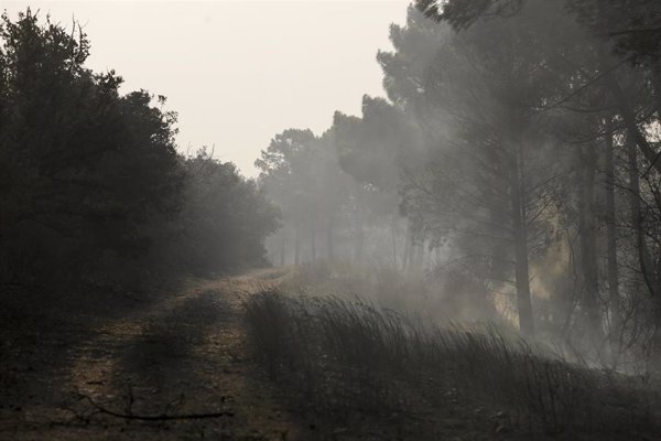 El fuego asola España: dos fallecidos, una veintena de heridos, miles de evacuados y hectáreas quemadas