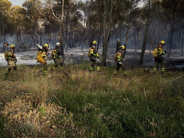 Continúan los trabajos de extinción del incendio forestal de Carcastillo (Navarra)