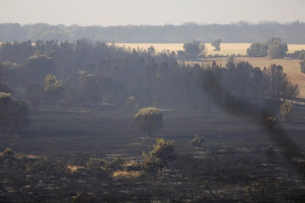 Ingenieros de Montes piden más inversión en prevención contra incendios aunque sea 