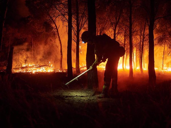 Ecologistas piden condiciones dignas para bomberos y una gestión del bosque con un mundo rural 