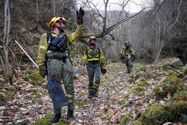 Las BRIF de MITECO colaboran en la extinción de 12 incendios en seis CCAA