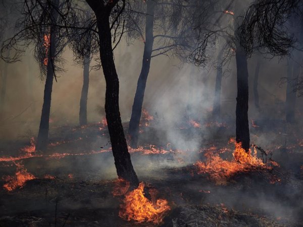 Extinguido el incendio de Carcastillo (Navarra)