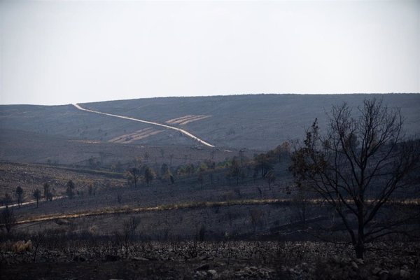 Transición Ecológica moviliza 10 aviones anfibios, 12 brigadas y 14 helicópteros contra los incendios