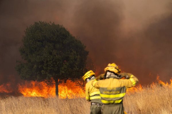 Más de 20 incendios activos en CyL, con trece en gravedad 2 y cinco en 1