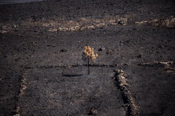 Perimetrados los incendios de Molezuelas y Puercas, en Zamora, y regresan a Castromil sus vecinos