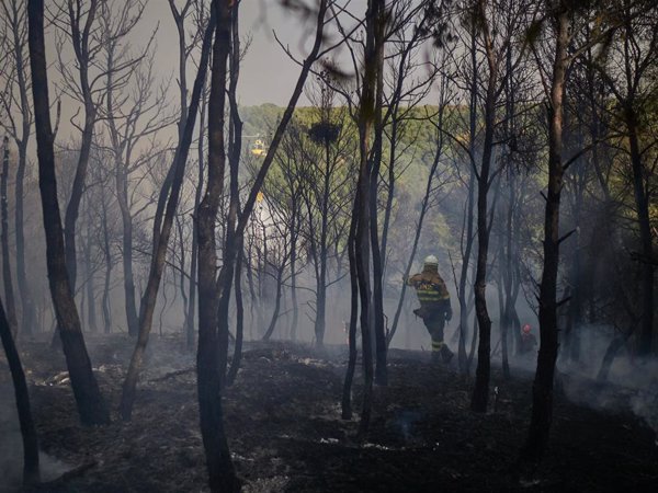 El riesgo de incendio forestal es este sábado 