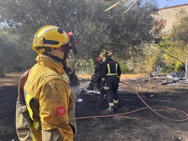 Controlado un incendio en San Martín de Valdeiglesias (Madrid) frenando su propagación a una zona industrial