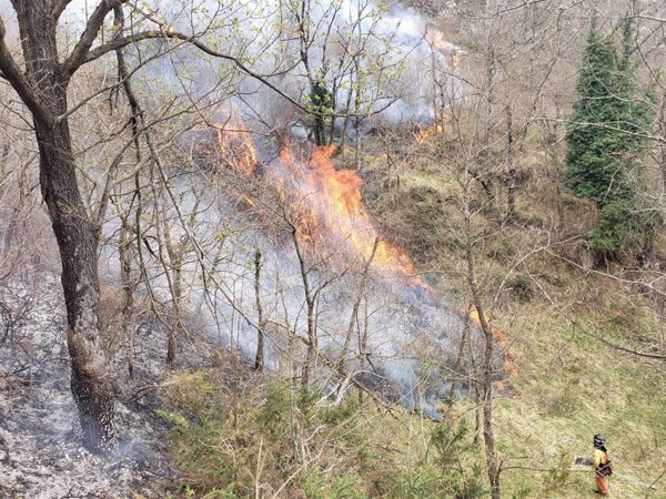 Ecologistas alertan de niveles muy elevados de contaminación por las partículas finas de los incendios en Asturias