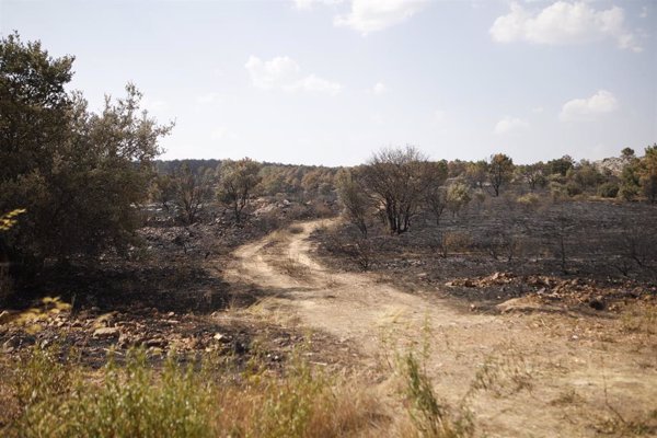 El Cecopi de Zamora valora esta mañana el descenso a gravedad 1 de los incendios de Castromil y Molezuelas