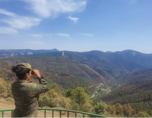Feijóo insiste en el despliegue del ejército contra los incendios: 