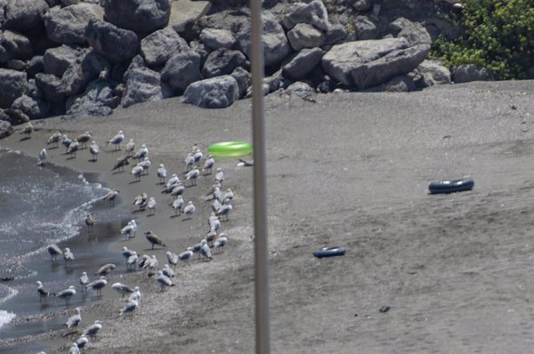 Dos menores migrantes entran a nado en Ceuta en una noche de alta presión migratoria