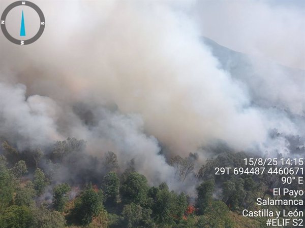 Reproducciones en los incendios de Cipérez y El Payo (Salamanca) por el viento y altas temperaturas