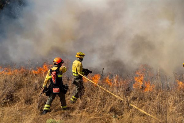 Declarado un incendio de gravedad 2 en Canalejas (León)