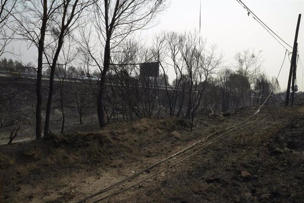 Galicia registra 14 incendios activos, con más de 46.000 hectáreas quemadas solo en la provincia de Ourense