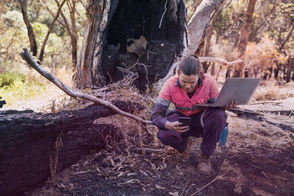 Indra y Minsait avanzan hacia un modelo predictivo de digitalización forestal frente a los incendios