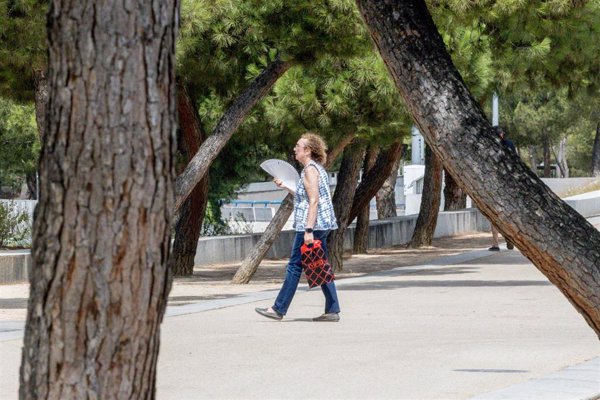 AEMET registró este sábado 64 estaciones con temperaturas de más de 42ºC y seis de 44ºC, con récord en Montoro (Córdoba)