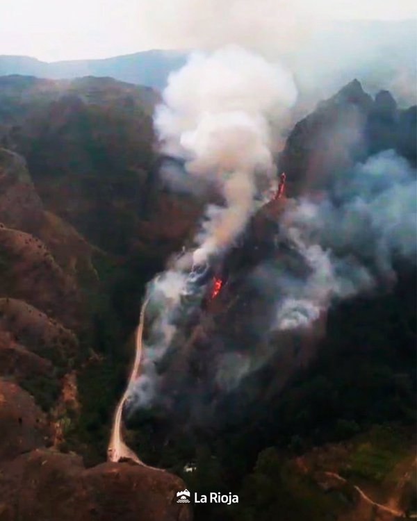 Estabilizado el incendio en las Peñas de Viguera (La Rioja) tras afectar a vegetación baja, matorral y arbustos
