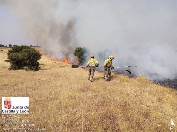 El incendio de El Herradón (Ávila) afecta a casi 3.000 hectáreas después de 