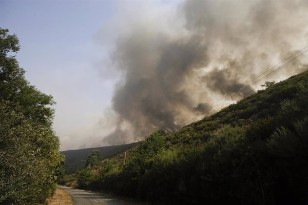 Tres de los seis heridos en los incendios de Zamora y León permanecen en estado crítico y otros tantos grave