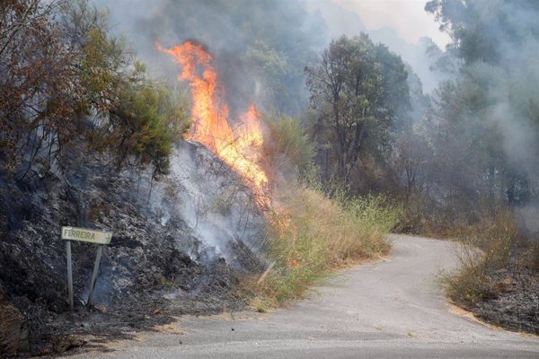 Ola de solidaridad tras los incendios: campañas en GoFundMe buscan ayudar a los afectados por el fuego
