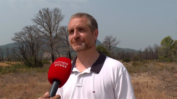 Un catedrático dice que en España hay suficientes aviones antiincendios y pide 