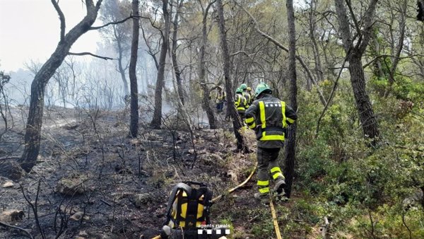Un incendio ya controlado en Valls (Tarragona) quema 6.245 metros cuadrados