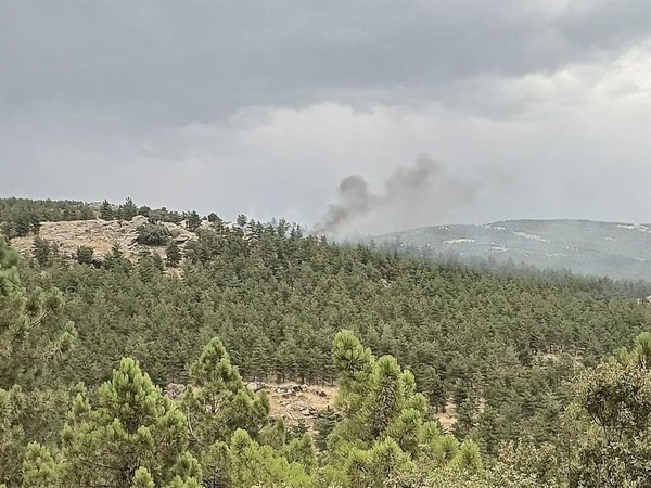 Un incendio forestal en el paraje Coto Moreta de Gérgal (Almería) obliga a movilizar medios terrestres y aéreos