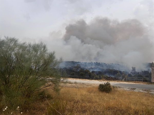 Un incendio de nivel 1 en Colmenar Viejo (Madrid) obliga a desalojar viviendas y a desplegar 28 medios