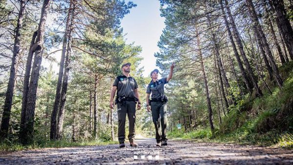 Un convoy con 50 expertos en defensa forestal de Cataluña ayudará a apagar incendios a lo largo de España