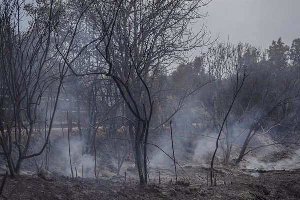Cataluña sale de la alerta máxima por riesgo de incendios y reabre espacios naturales