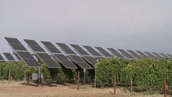 Iberdrola construirá en Álava la primera agrovoltaica para potenciar el cultivo de manzanas en País Vasco