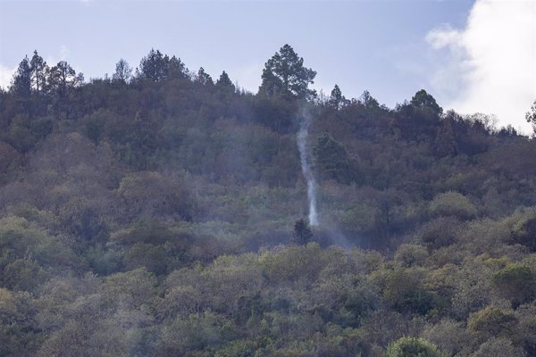 Canarias declara la alerta por riesgo de incendios forestales en El Hierro, La Gomera, La Palma, Tenerife y Gran Canaria