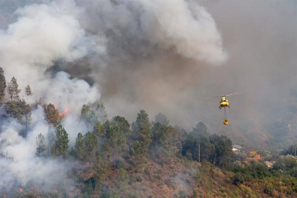 La línea de alta velocidad entre Madrid y Galicia seguirá suspendida todo el día por los incendios
