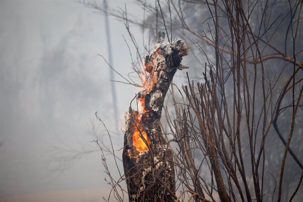 Un grupo de mossos se desplaza hasta Galicia para colaborar en la zona arrasada por los incendios