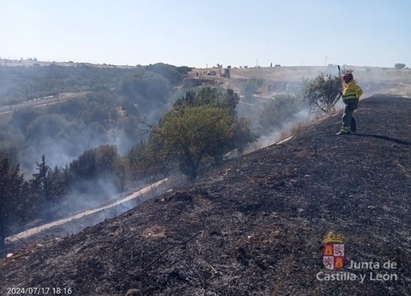 El PSOE defenderá en el Senado una batería de medidas de consenso en la protección los bosques