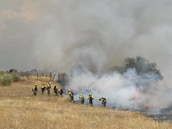 Arrestado un hombre de 48 años como presunto autor del incendio que afectó en julio a Colmenar Viejo (Madrid)