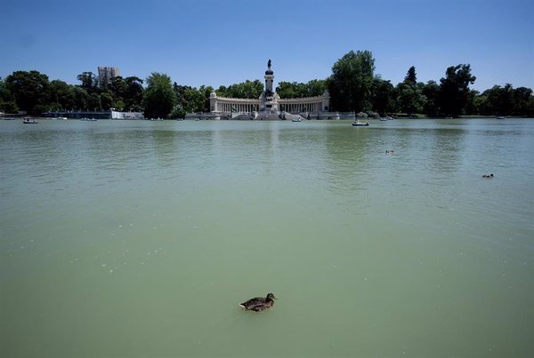 El Retiro y otros 8 parques de Madrid restringen zonas desde las 15 horas por condiciones meteorológicas adversas
