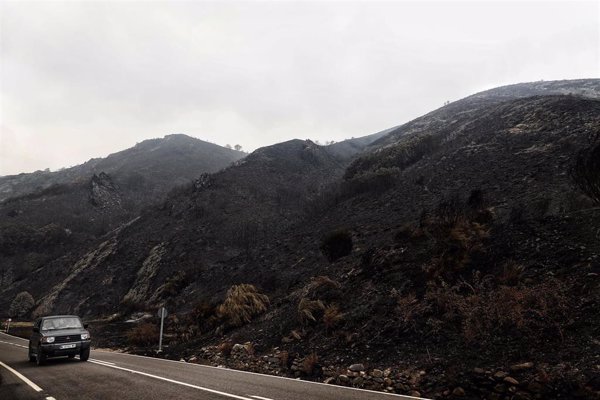 DGT pide evitar circular por zonas afectadas por incendios con 12 carreteras cortadas, la mayoría en CyL