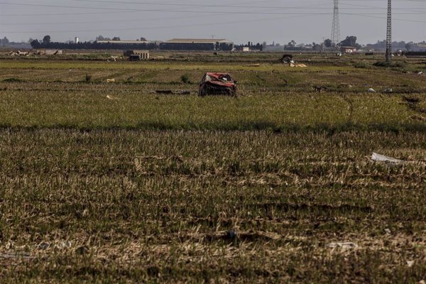 El Ministerio de Agricultura abona más de 400 millones a agricultores afectados por la Dana